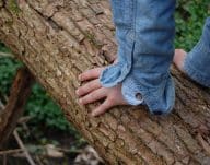 Bains de nature – avec Nadine Bosq, sophrologue / neuro-coach