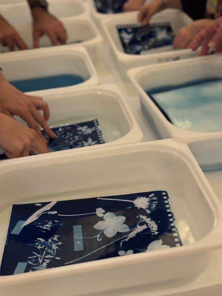 Atelier cyanotype en famille – L’herbier photographique